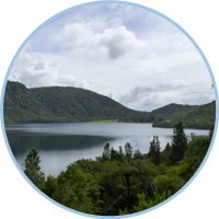 The Rotorua Lakes